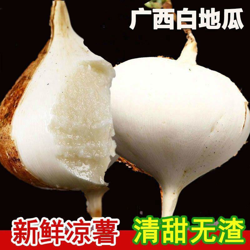 广西新鲜凉薯地瓜沙葛现挖地萝卜农家自种白地瓜土瓜应季水果