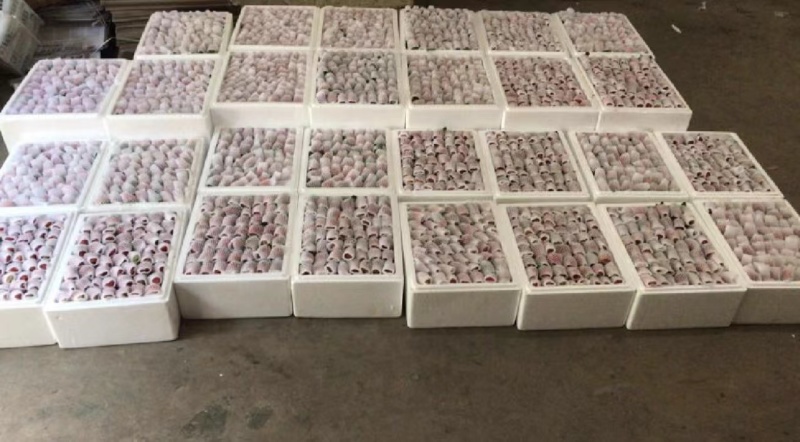 精品蒙特瑞草莓产地直供大量有货，欢迎咨询