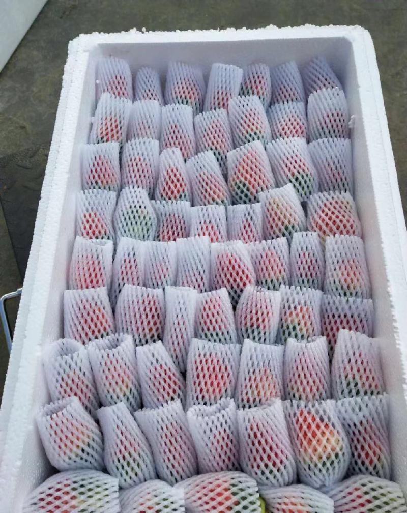 精品蒙特瑞草莓产地直供大量有货，欢迎咨询