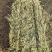 燕麦草产地直发大量供应诚信经营可视频看货