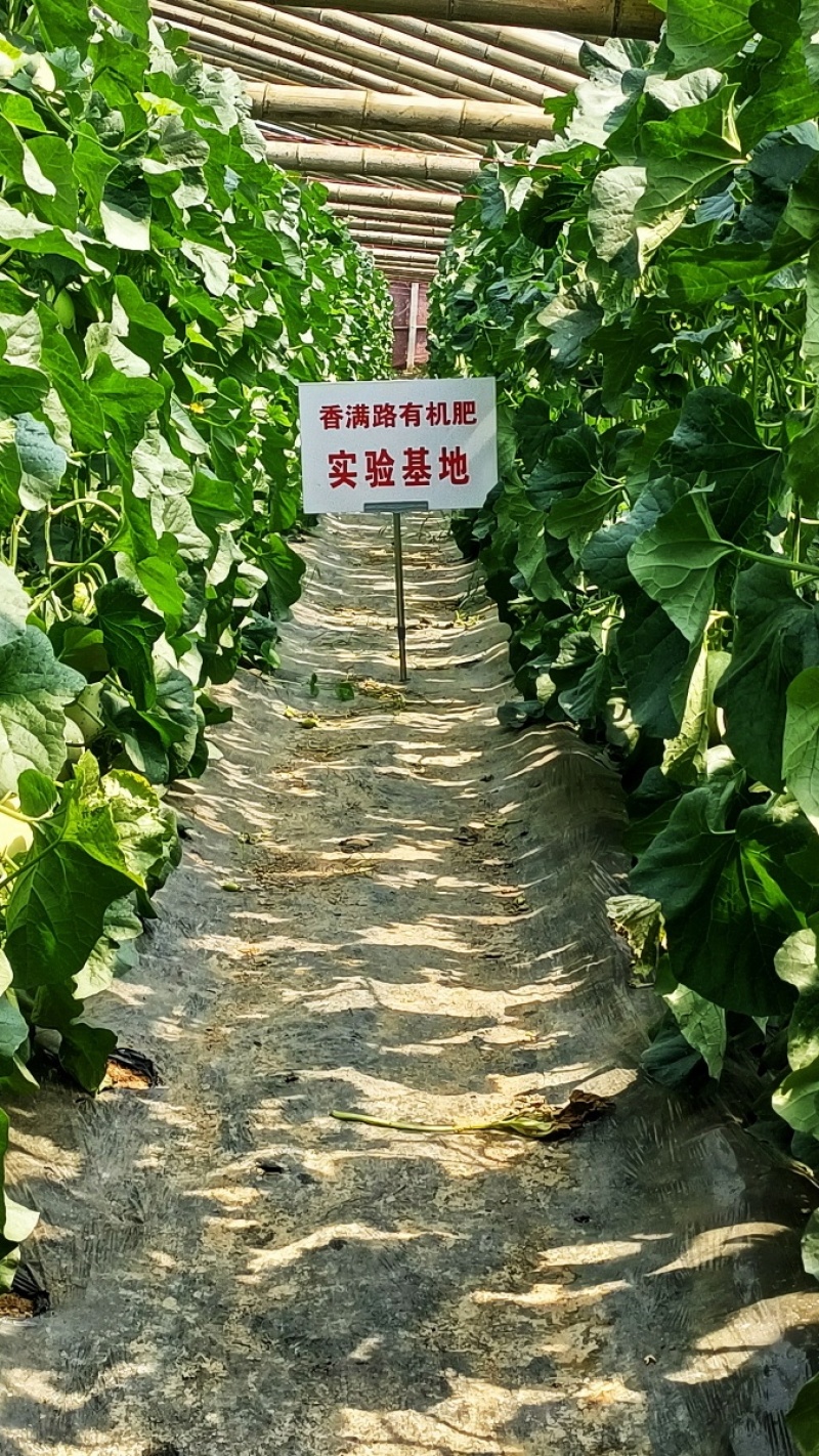青岛发酵鸡粪,烟台鸡粪有机肥,潍坊干鸡粪,北京鸡粪肥田