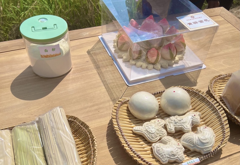 黄骅旱碱麦无添加面粉精致粉