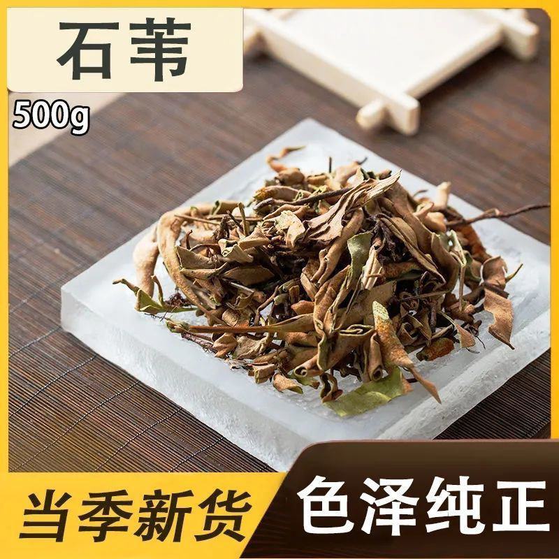 野生中药材石苇货量充足品质保证欢迎各地客商致电