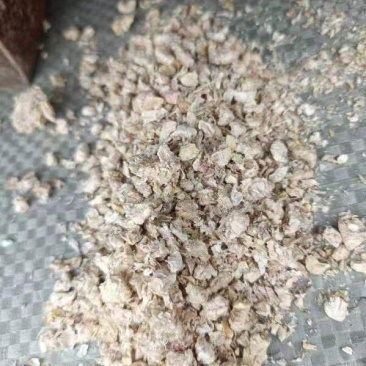 优质玉米芯批发厂家直销