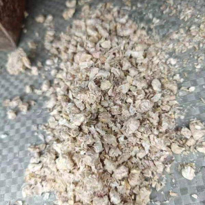 优质玉米芯批发厂家直销