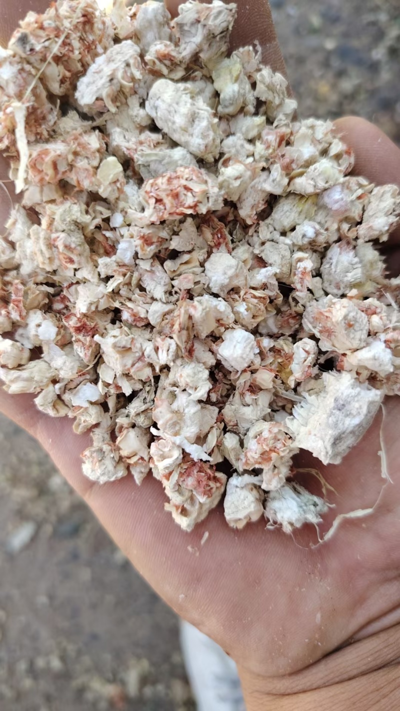优质玉米芯批发厂家直销