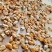 精品单冻贻贝肉马上上市每天60吨成品。规格每公斤
