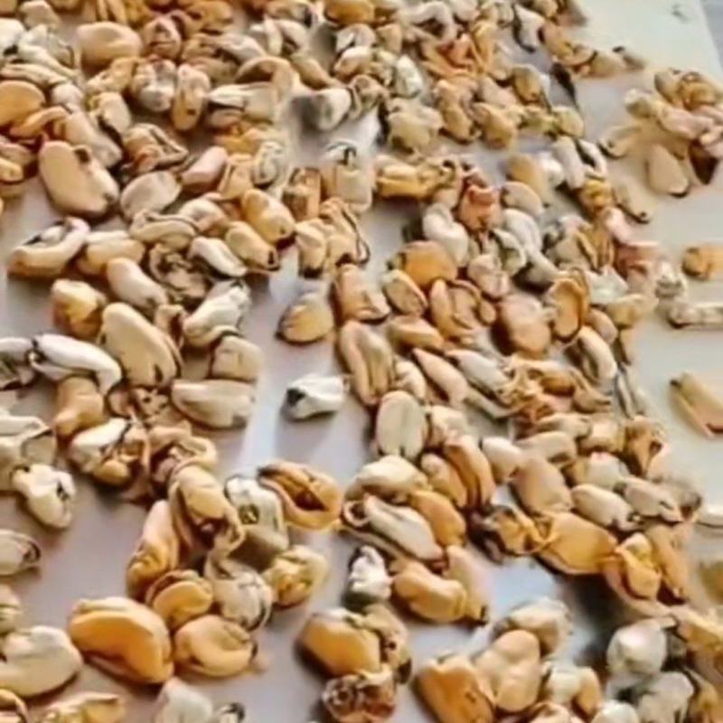 精品单冻贻贝肉马上上市每天60吨成品。规格每公斤