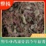 中药材透骨消鲜货大量供应对接全国欢迎各地客商致电