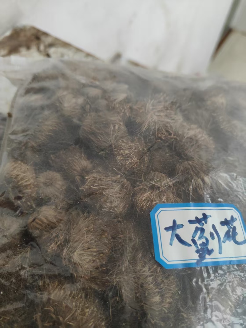 中药材大蓟现货供应对接客商直发诚信经营欢迎致电