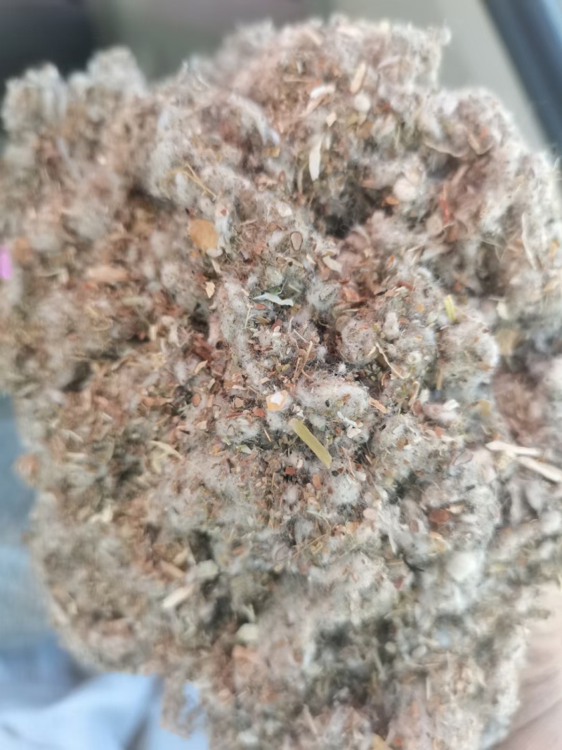 优质棉渣批发厂家直销