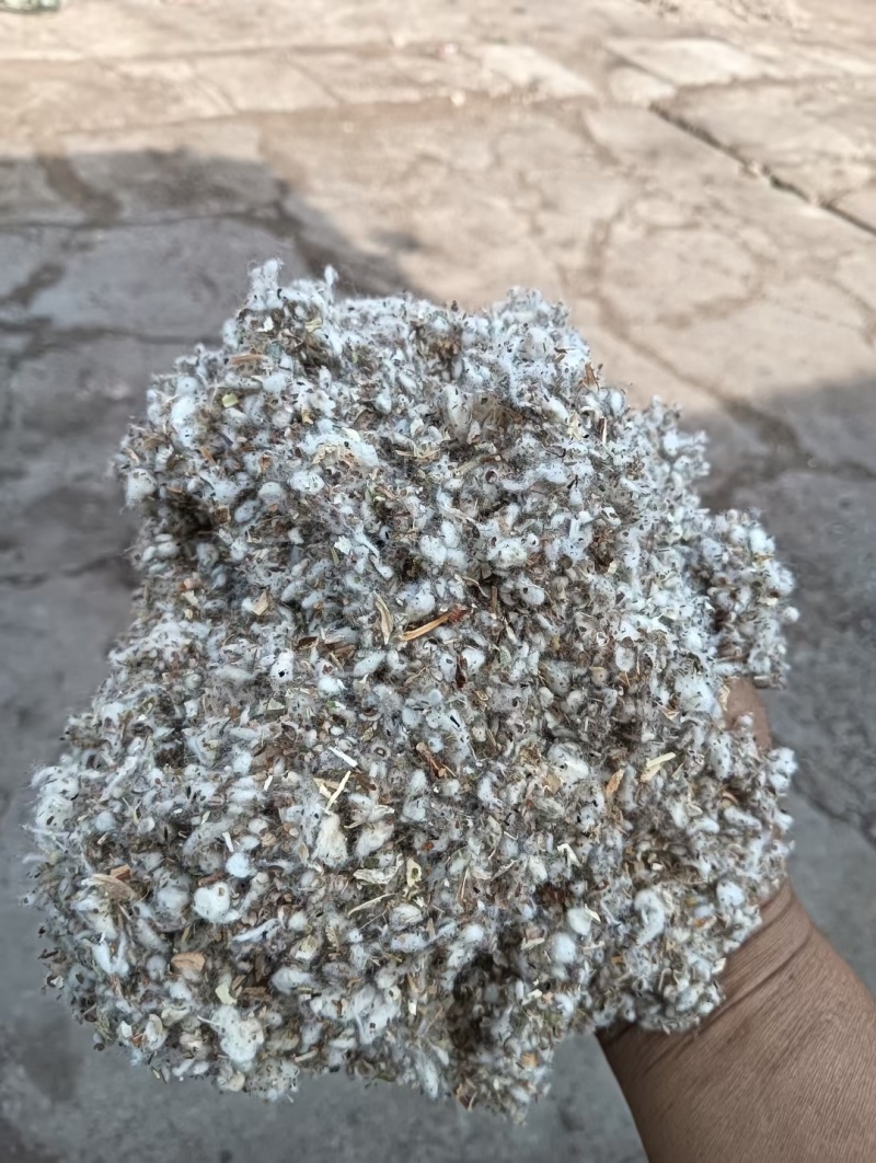 优质棉渣批发厂家直销