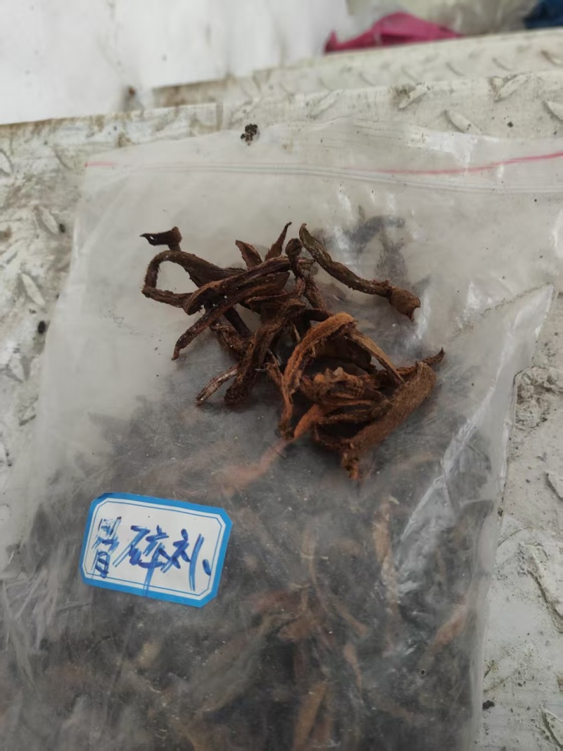 中药材骨碎补现货大量供应品质好价格低欢迎致电