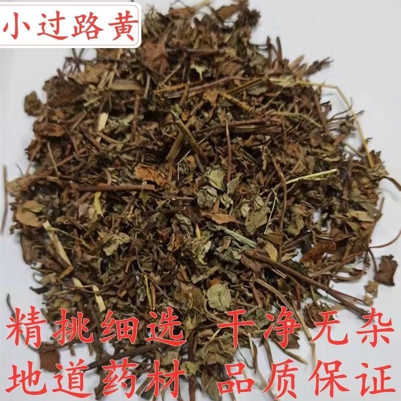 中药材过路黄现货充足现已大量上货欢迎各地客商前来