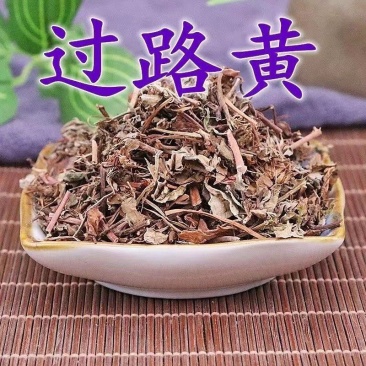 中药材过路黄现货充足现已大量上货欢迎各地客商前来