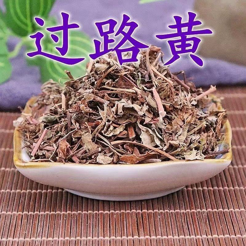 中药材过路黄现货充足现已大量上货欢迎各地客商前来