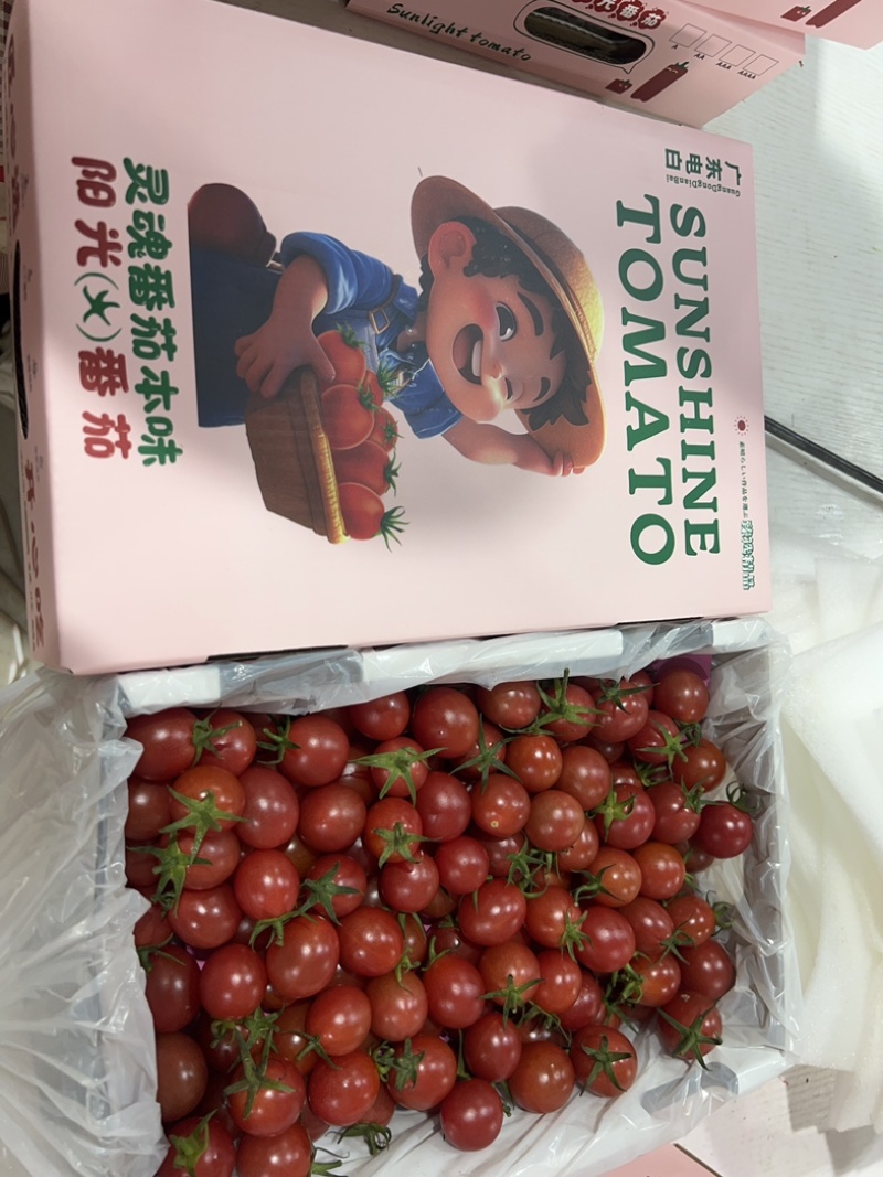 广东电白千嬉，口感稳定，正宗电白千嬉