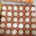新鲜粉蛋红壳鸡蛋白鸡蛋