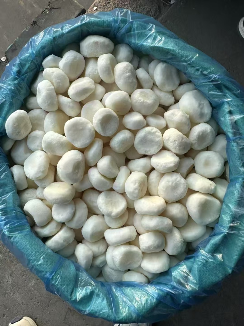 厂家批发速冻优品白马蹄，口感好清甜爽脆化渣，库存100吨