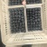 精品蓝莓产地直发品质保证欢迎选购