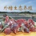 中华草龟肉外塘草龟批发源头