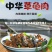 中华草龟肉外塘草龟批发源头