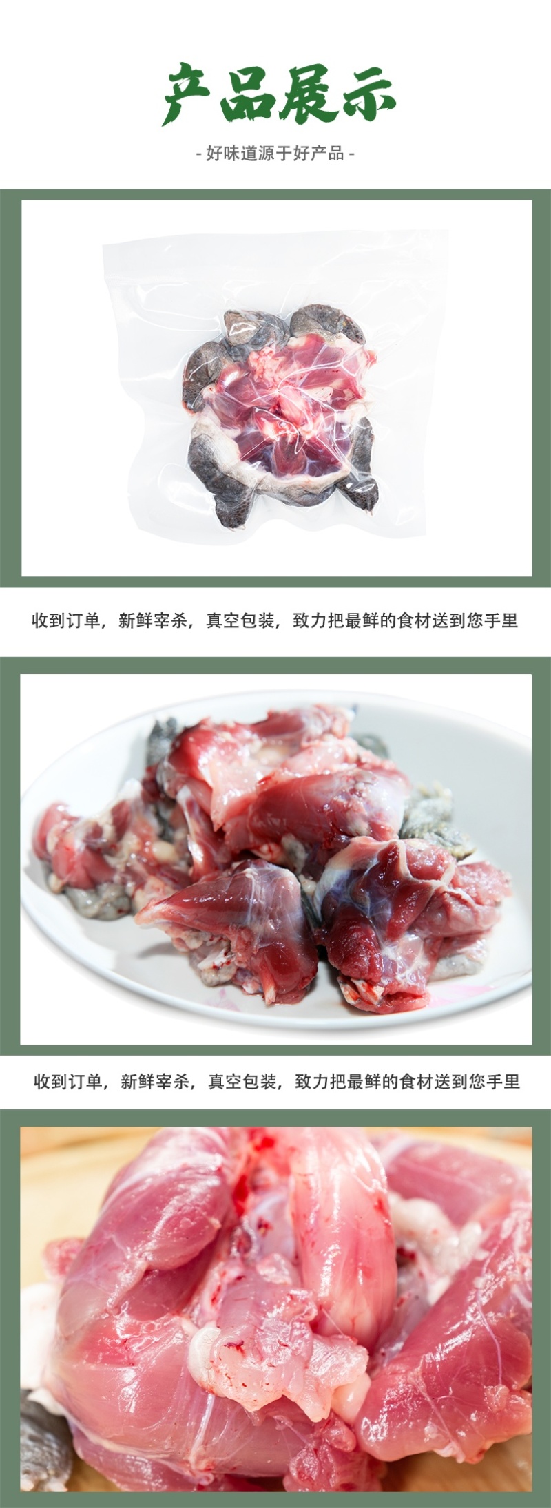 中华草龟肉外塘草龟批发源头