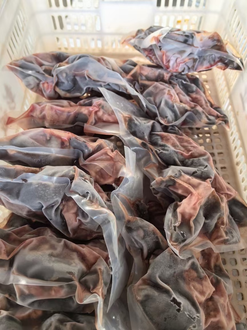 中华草龟肉外塘草龟批发源头