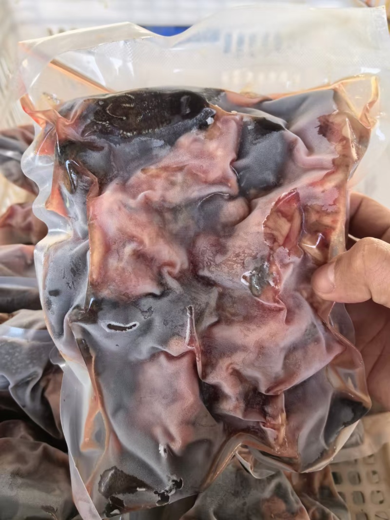 中华草龟肉外塘草龟批发源头