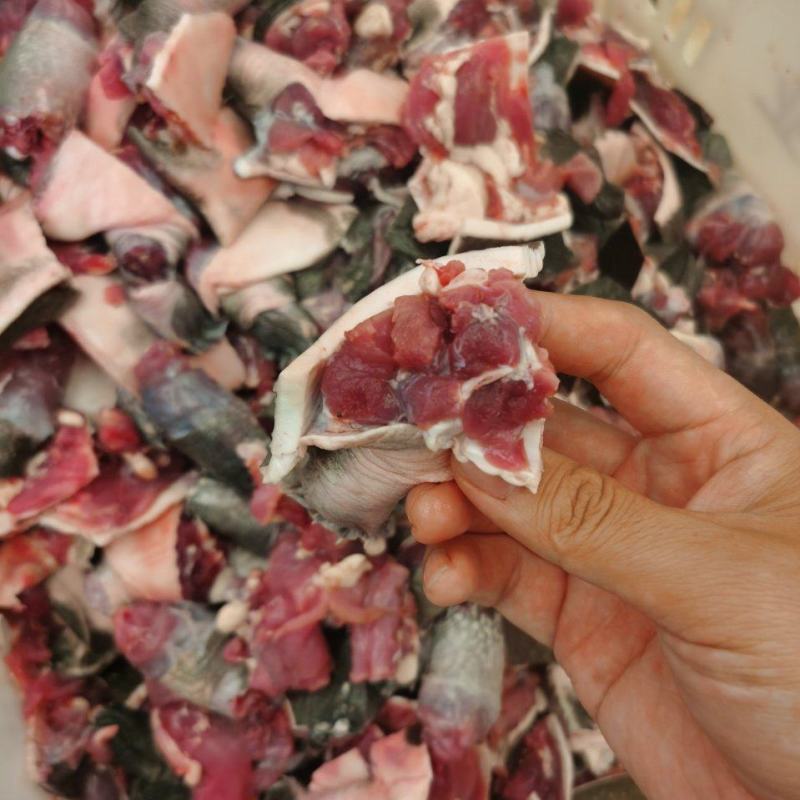 甲鱼肉甲鱼快大型加工厂批发