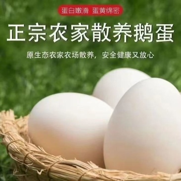 鹅蛋80克电商一件代发，多品种多规格！