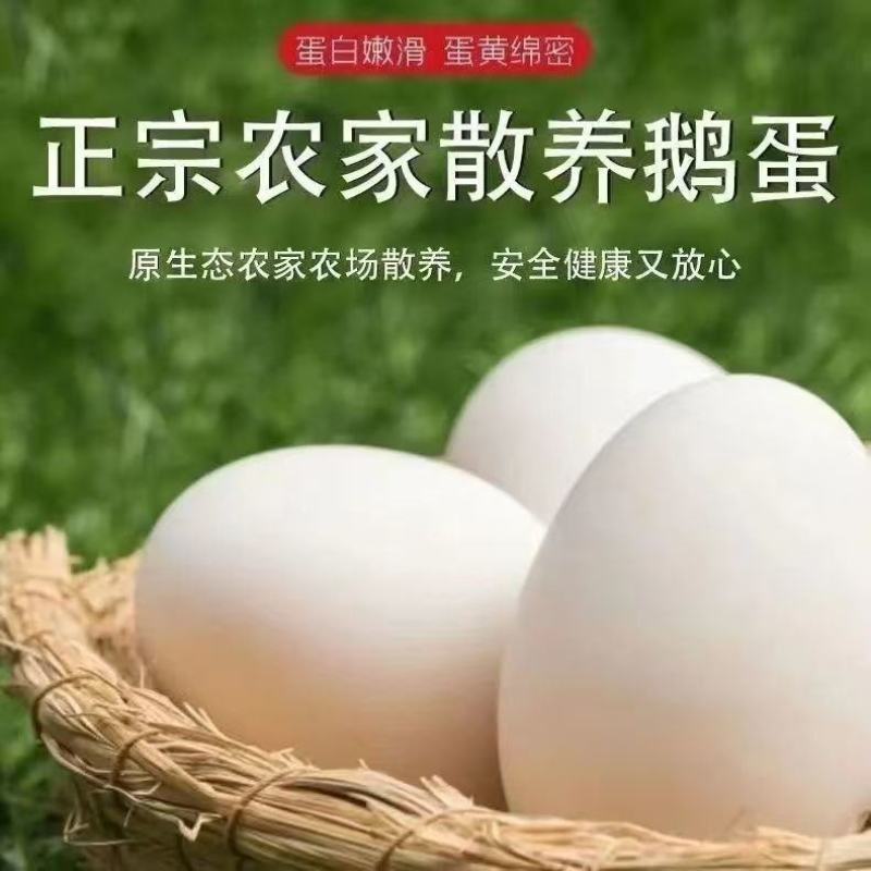 鹅蛋80克电商一件代发，多品种多规格！