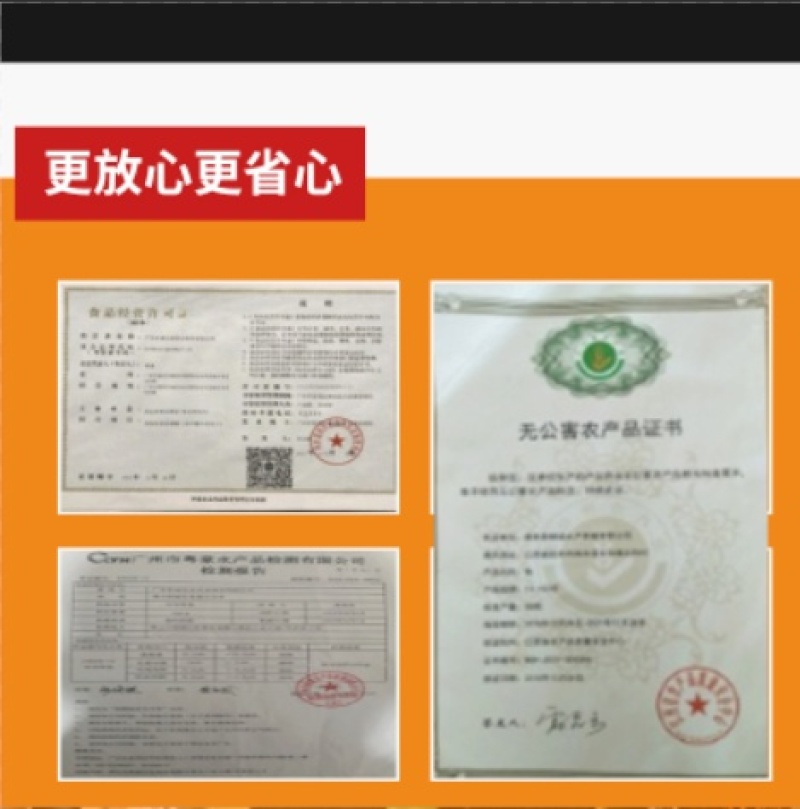 甲鱼肉甲鱼快大型加工厂批发