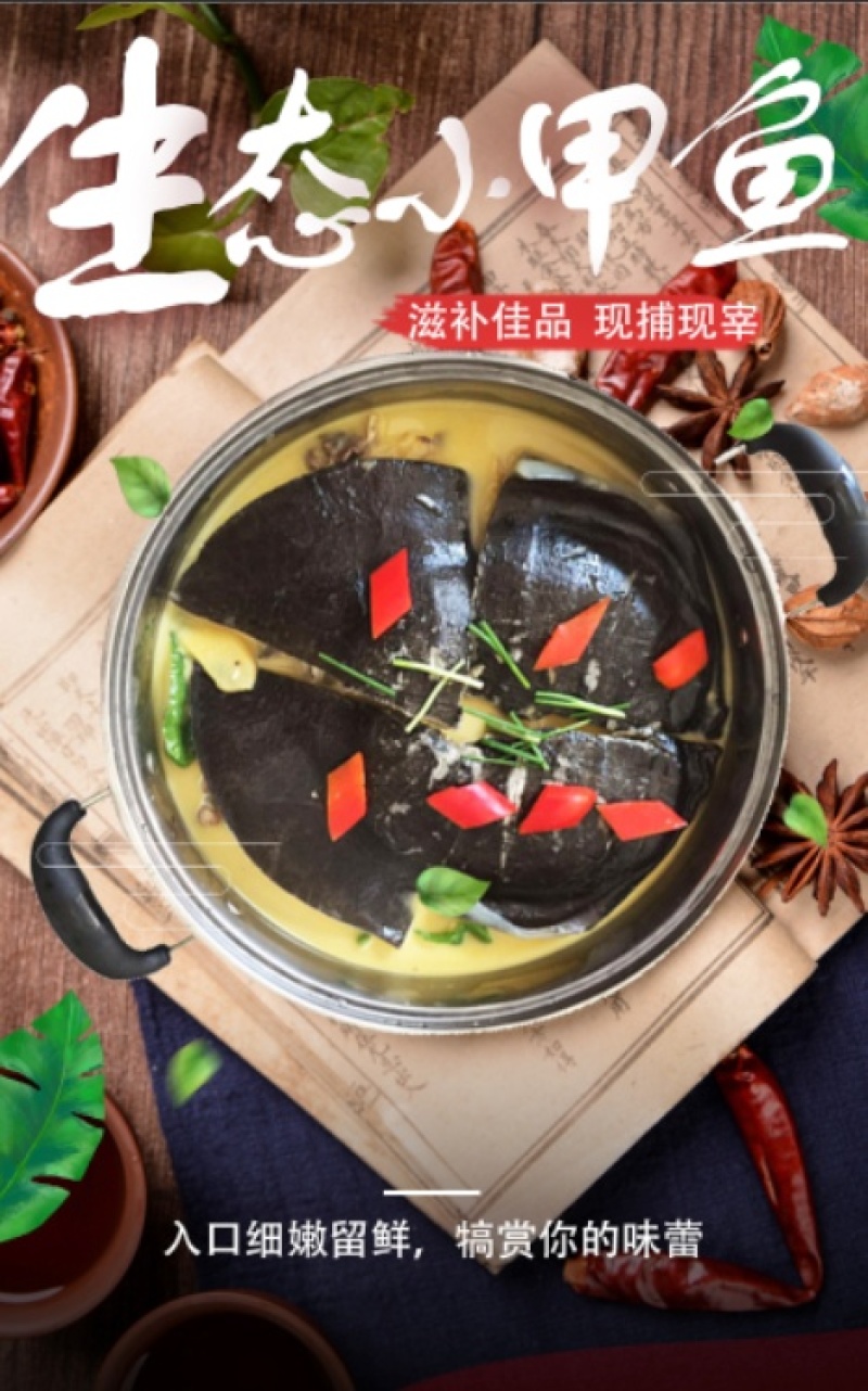 甲鱼肉甲鱼快大型加工厂批发