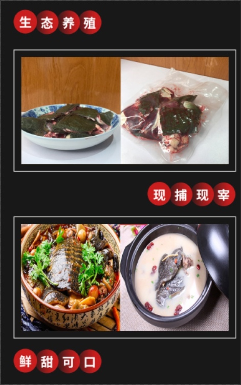 甲鱼肉甲鱼快大型加工厂批发