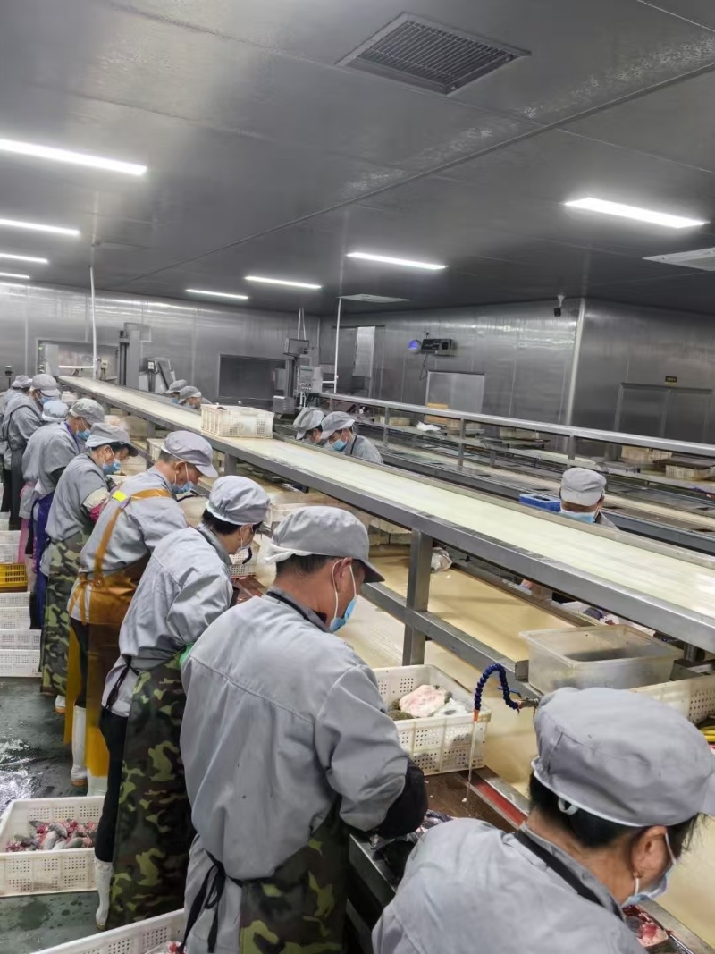 甲鱼肉甲鱼快大型加工厂批发