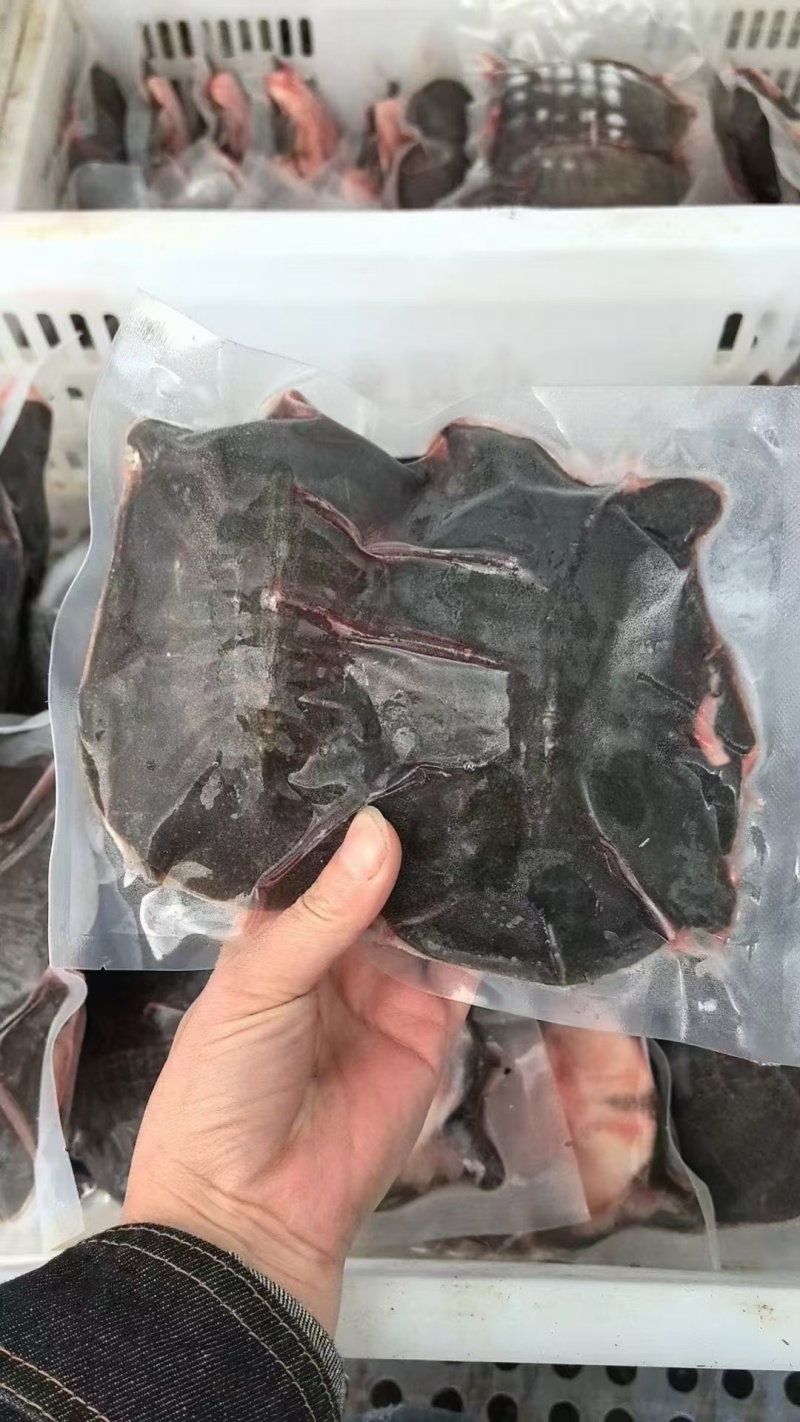 甲鱼肉甲鱼快大型加工厂批发