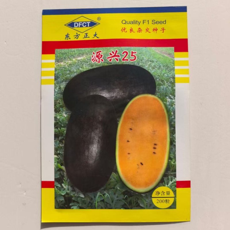 源兴25黑皮黄瓤西瓜种子甜四季春季懒汉西瓜南方种籽蔬菜种