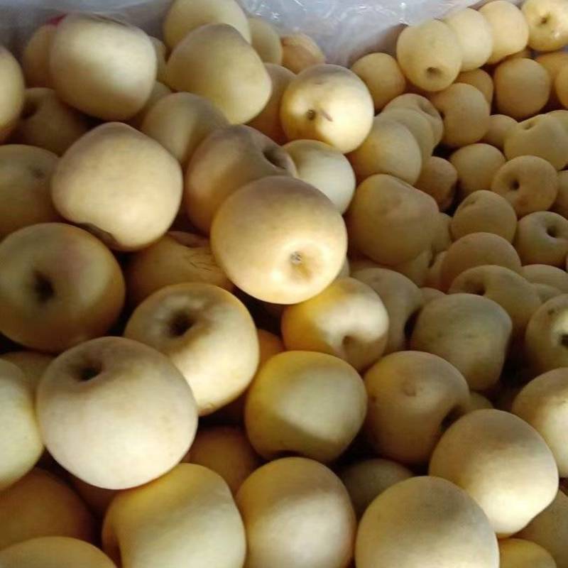 精品奶油富士