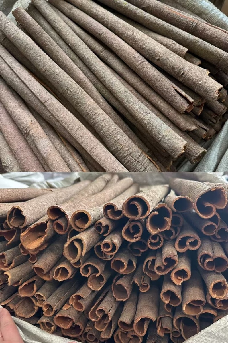 桂通（大中小）桂丝水洗桂通产地大量供应