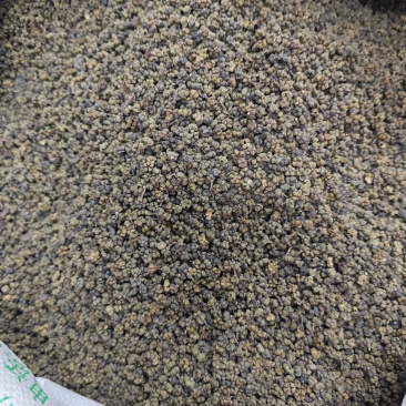 吴茱萸