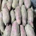 商薯193两起步通货手挑白心白瓤精品
