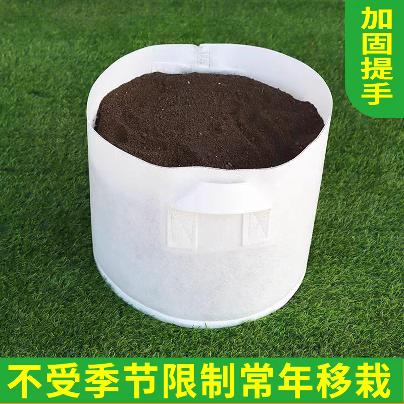 美植袋植树袋树木花卉种植袋