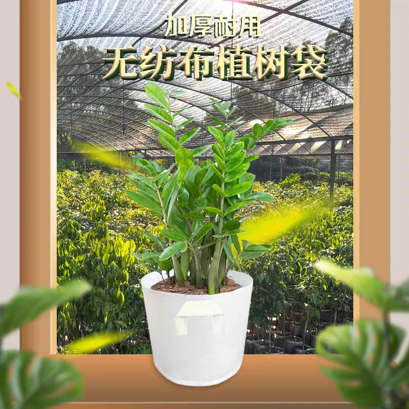 美植袋植树袋树木花卉种植袋