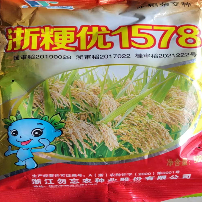 杂交水稻种子浙粳优1578圆粒杂交粳稻品种优质高产