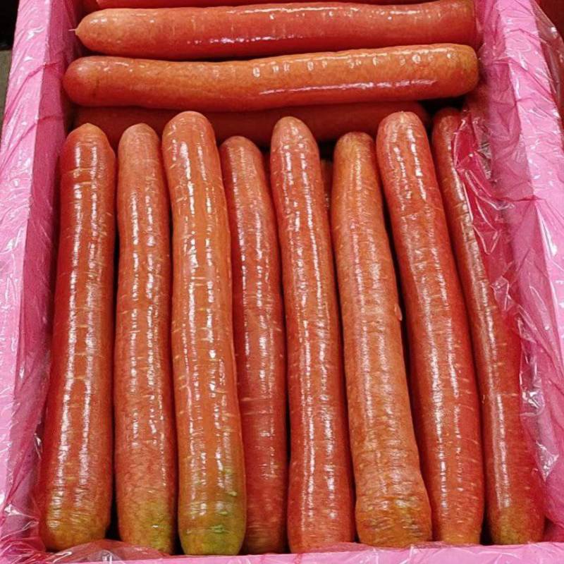 精品秤杆红萝卜产地直销量大质优价格优惠一手货源