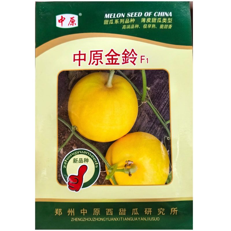 中原金玲甜瓜种子新育成的杂交早熟品种色泽金黄肉质甜脆香味