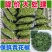 重庆批发商用青花椒藤椒麻椒青花椒鱼调料调味品