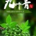 重庆批发商用青花椒藤椒麻椒青花椒鱼调料调味品