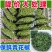 重庆批发商用青花椒藤椒麻椒青花椒鱼调料调味品